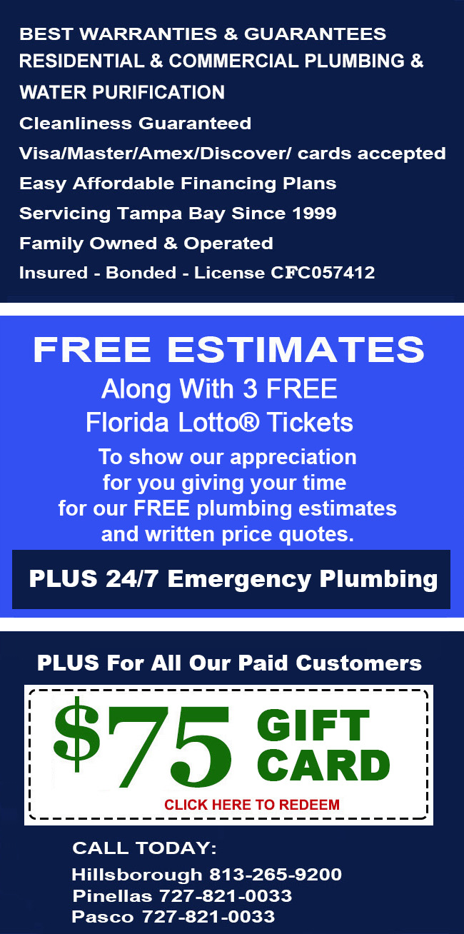 Cass Plumbing team — trusted Tampa Bay plumbing professionals